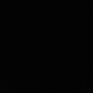 Meet your Posher, Jackson